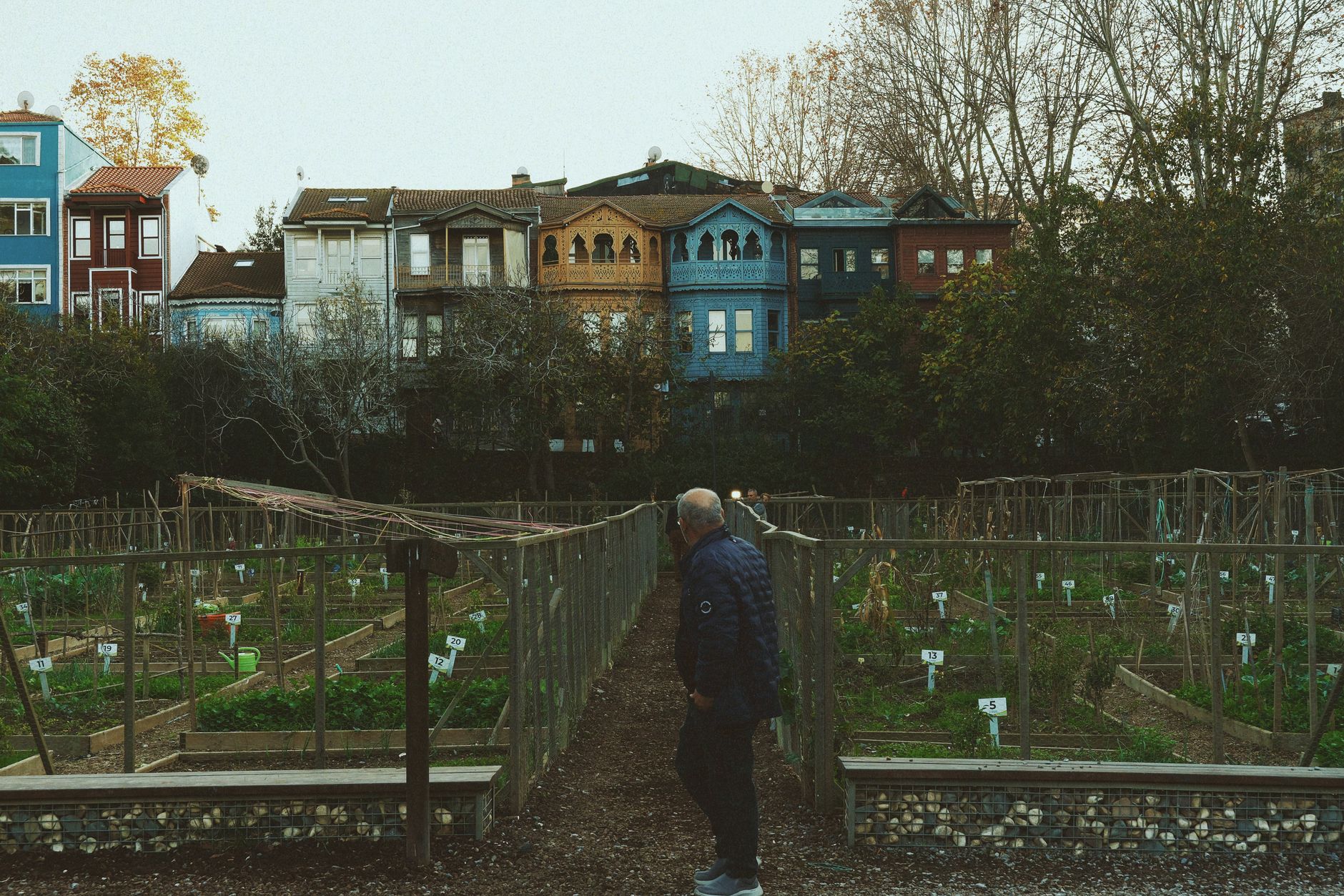 The Quiet Joy of Allotment Gardening and Why Waiting Lists Are Growing Again