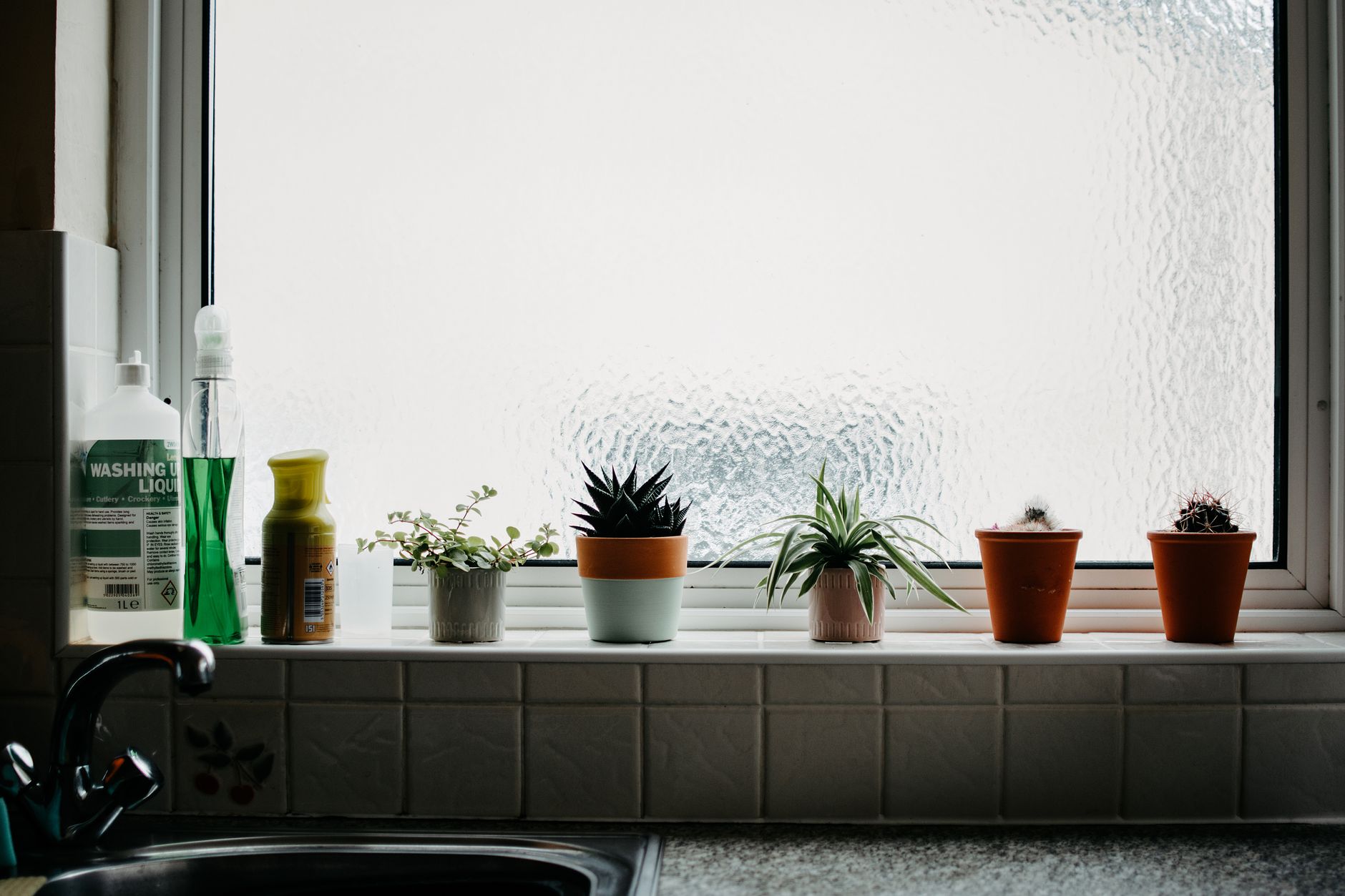 Hands tending to houseplants on a windowsill, a classic pottering activity with mental health benefits